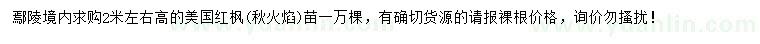 求購高2米左右美國紅楓（秋火焰）