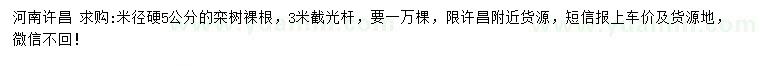 求購(gòu)米徑硬5公分欒樹