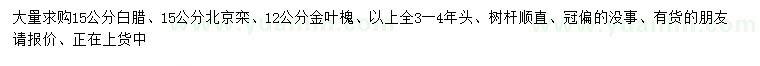 求購(gòu)白臘、北京欒、金葉槐