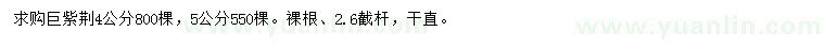 求購4、5公分巨紫荊