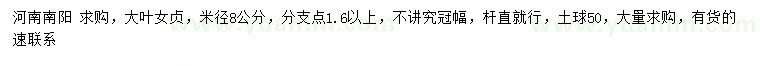求購(gòu)米徑8公分大葉女貞