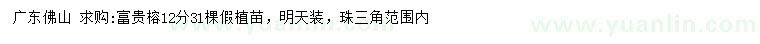 求購(gòu)12公分富貴榕