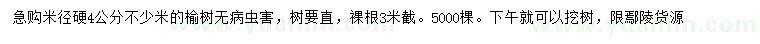求購米徑4公分榆樹