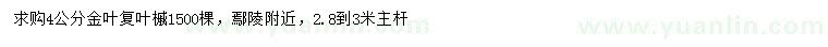 求購4公分金葉復葉槭