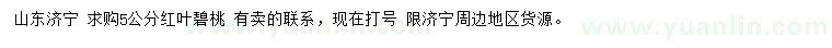 求購5公分紅葉碧桃