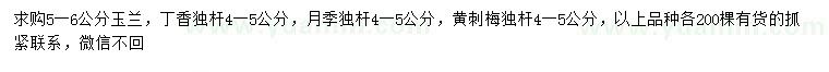 求購玉蘭、丁香、月季等