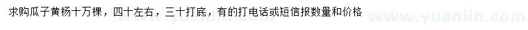 求購40公分左右瓜子黃楊