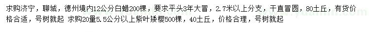 求購12公分白蠟、20量5.5公分以上紫葉矮櫻
