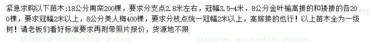 求購(gòu)南欒、金葉榆、美人梅