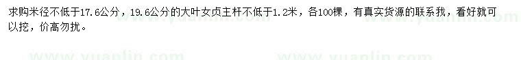 求購17.6、19.6公分大葉女貞
