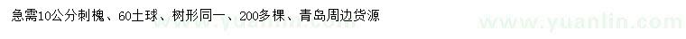 求購10公分刺槐
