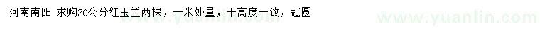 求購(gòu)30公分紅玉蘭