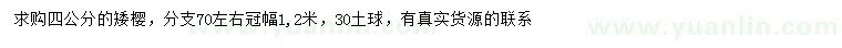 求購(gòu)4公分矮櫻