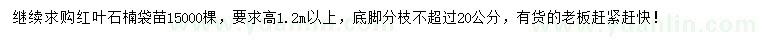 求購高1.2米以上紅葉石楠