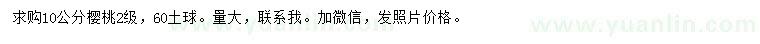 求購10公分櫻桃