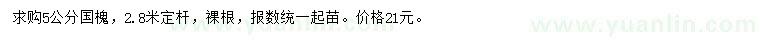 求購(gòu)5公分國(guó)槐