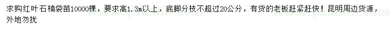 求購高1.3米以上紅葉石楠