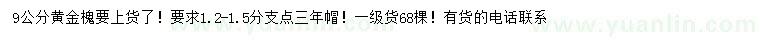 求購9公分黃金槐