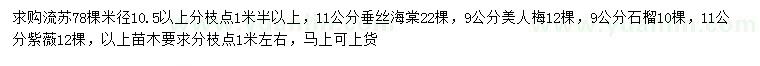求購流蘇、垂絲海棠、美人梅等
