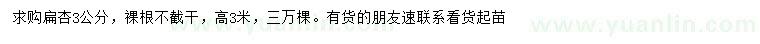 求購3公分扁杏