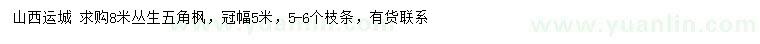 求購(gòu)8米叢生五角楓