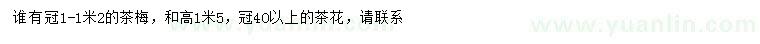 求購冠幅1-1.2米茶梅、40公分茶花
