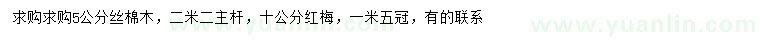 求購5公分絲棉木
