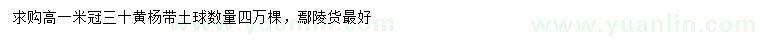 求購高1米黃楊