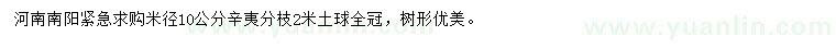求購米徑10公分辛夷