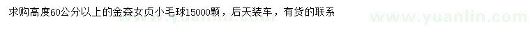 求購高度60公分以上金森女貞小毛球