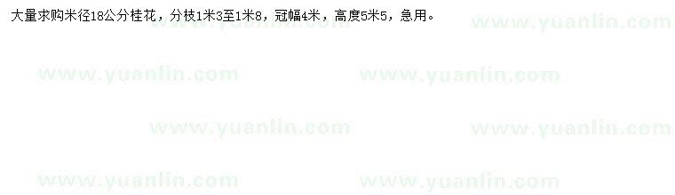 求購米徑18公分桂花