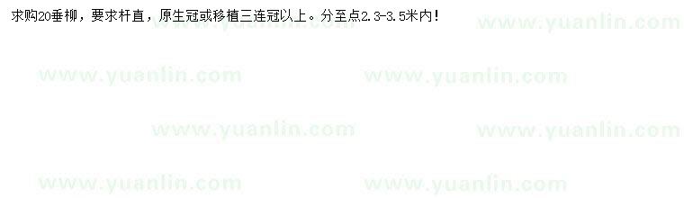 求購(gòu)20公分垂柳