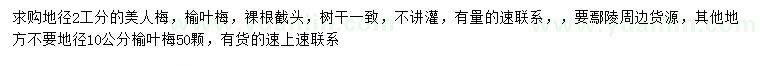 求購地徑2公分美人梅、2、10公分榆葉梅