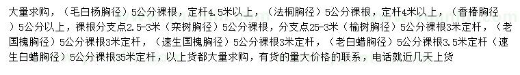 求購毛白楊、法桐、香椿等