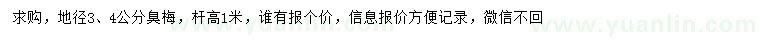求購地徑3、4公分臭梅