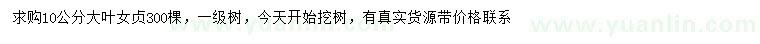 求購10公分大葉女貞
