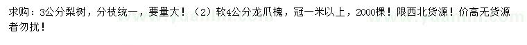 求購(gòu)3公分梨樹、4公分龍爪槐
