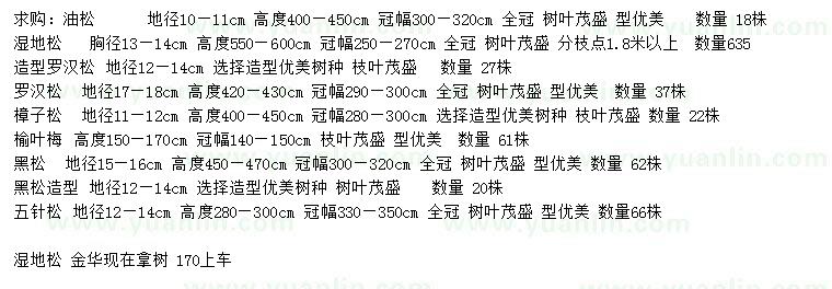 求購油松、濕地松、羅漢松等