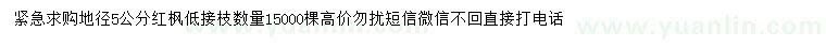 求購地徑5公分紅楓紅楓