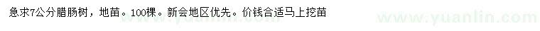 求購7公分臘腸樹