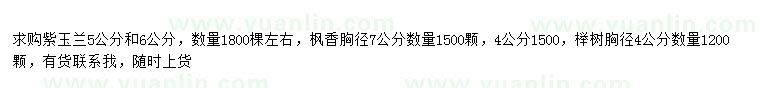 求購紫玉蘭、楓香、櫸樹