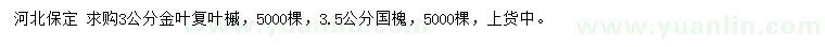 求購3公分金葉復(fù)葉槭、3.5公分國槐