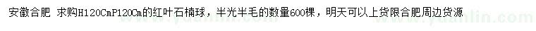 求購高120公分紅葉石楠球