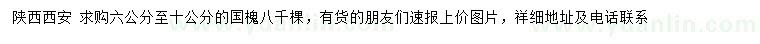 求購6-10公分國槐