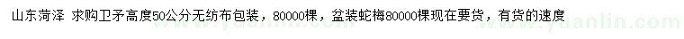 求購(gòu)高度50公分衛(wèi)矛