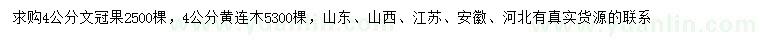 求購(gòu)4公分文冠果、黃連木