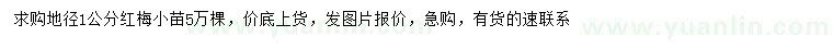 求購地徑1公分紅梅小苗