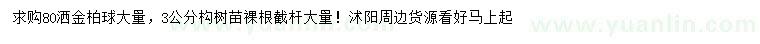 求購80公分灑金柏球、3公分構(gòu)樹苗