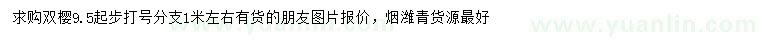 求購9.5公分起步雙櫻