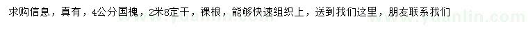 求購(gòu)4公分國(guó)槐